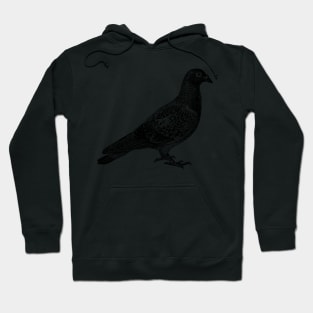 Pigeon in black Hoodie